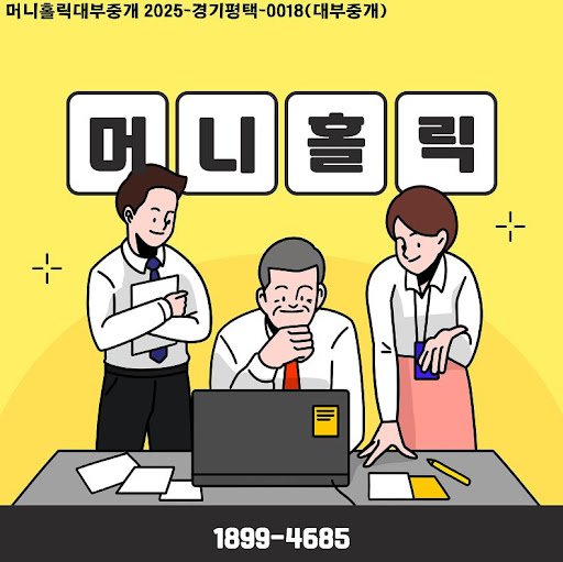 개인회생자대출 한도 결정 방식, 머니홀릭 자료