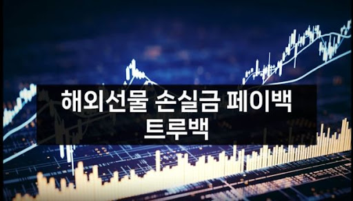 해외선물미니업체 트루백의 전문가들과 함께하는 투자